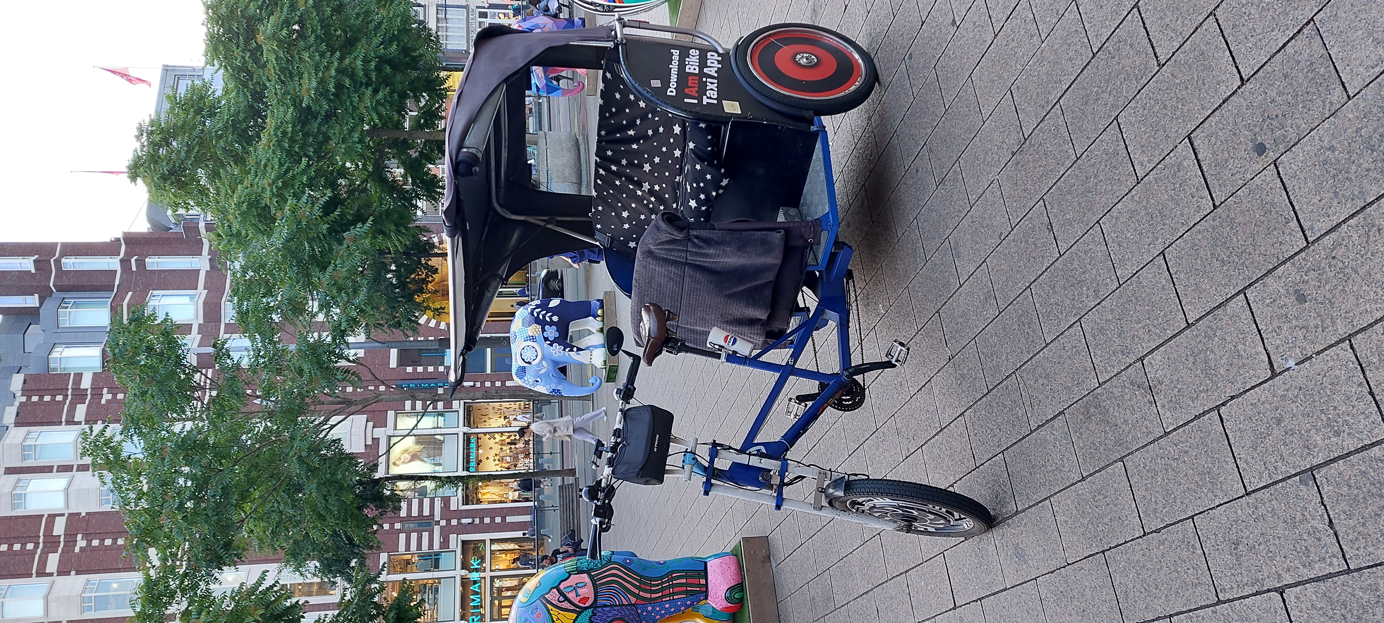 Riksza Green Planet Taxi na ulicach Amsterdamu