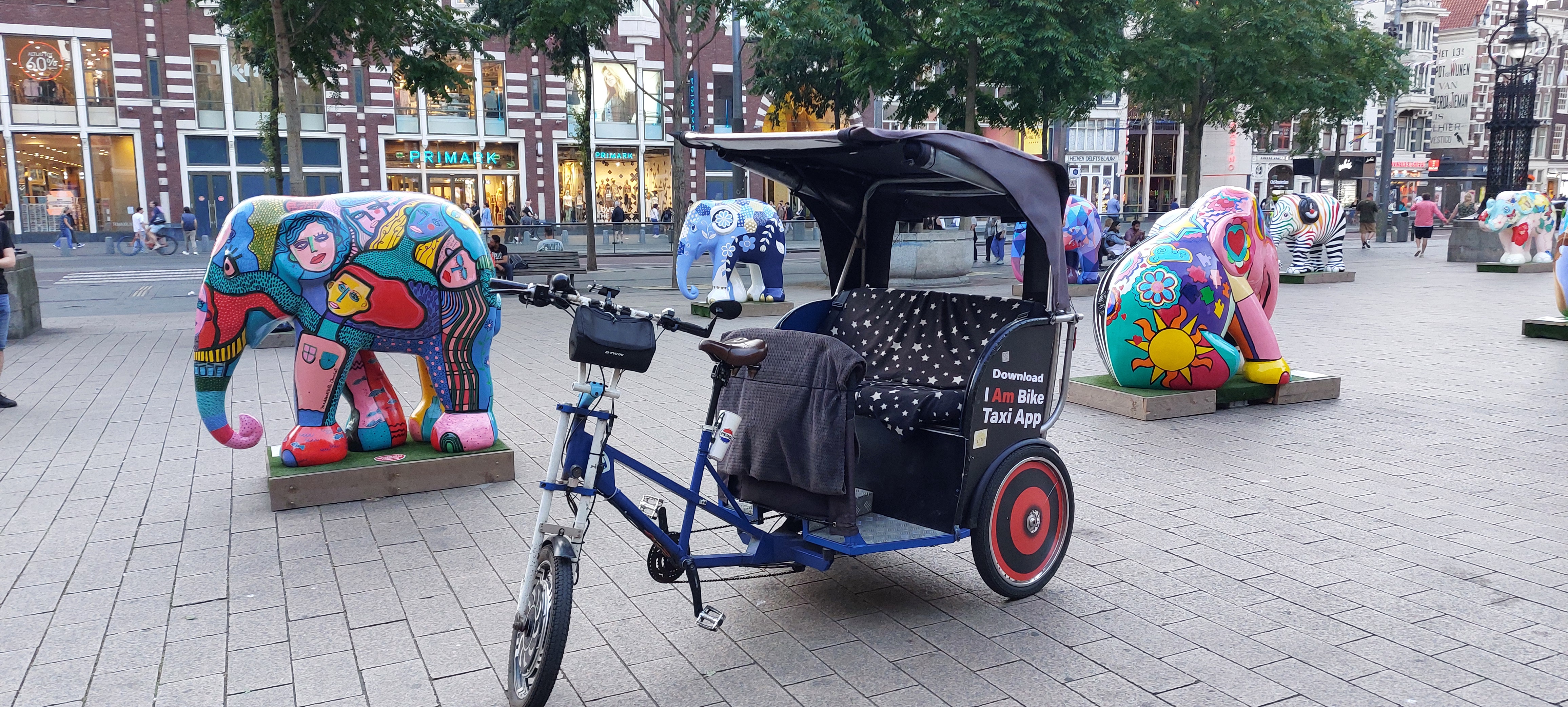 Riksza Green Planet Taxi z widokiem
